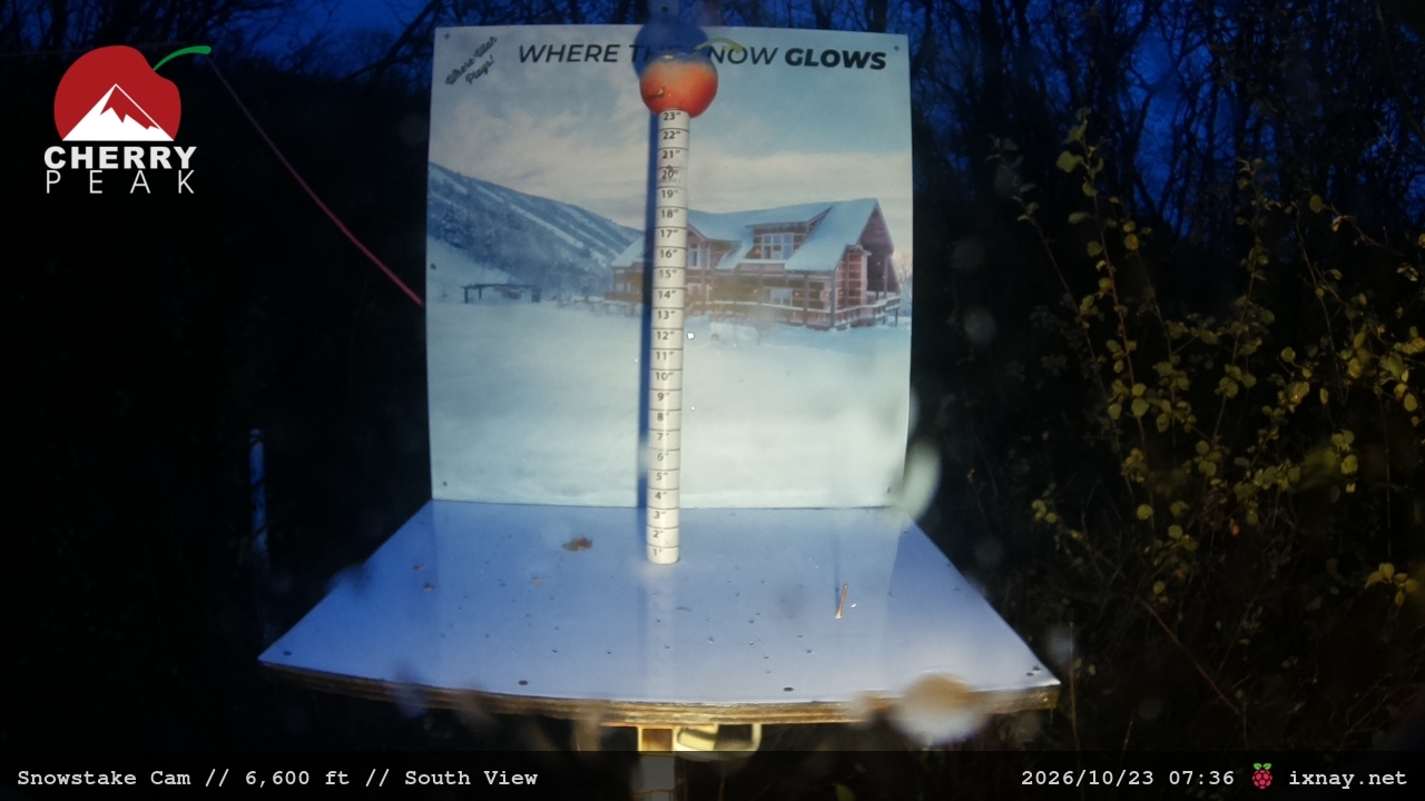 Snowstake Cam