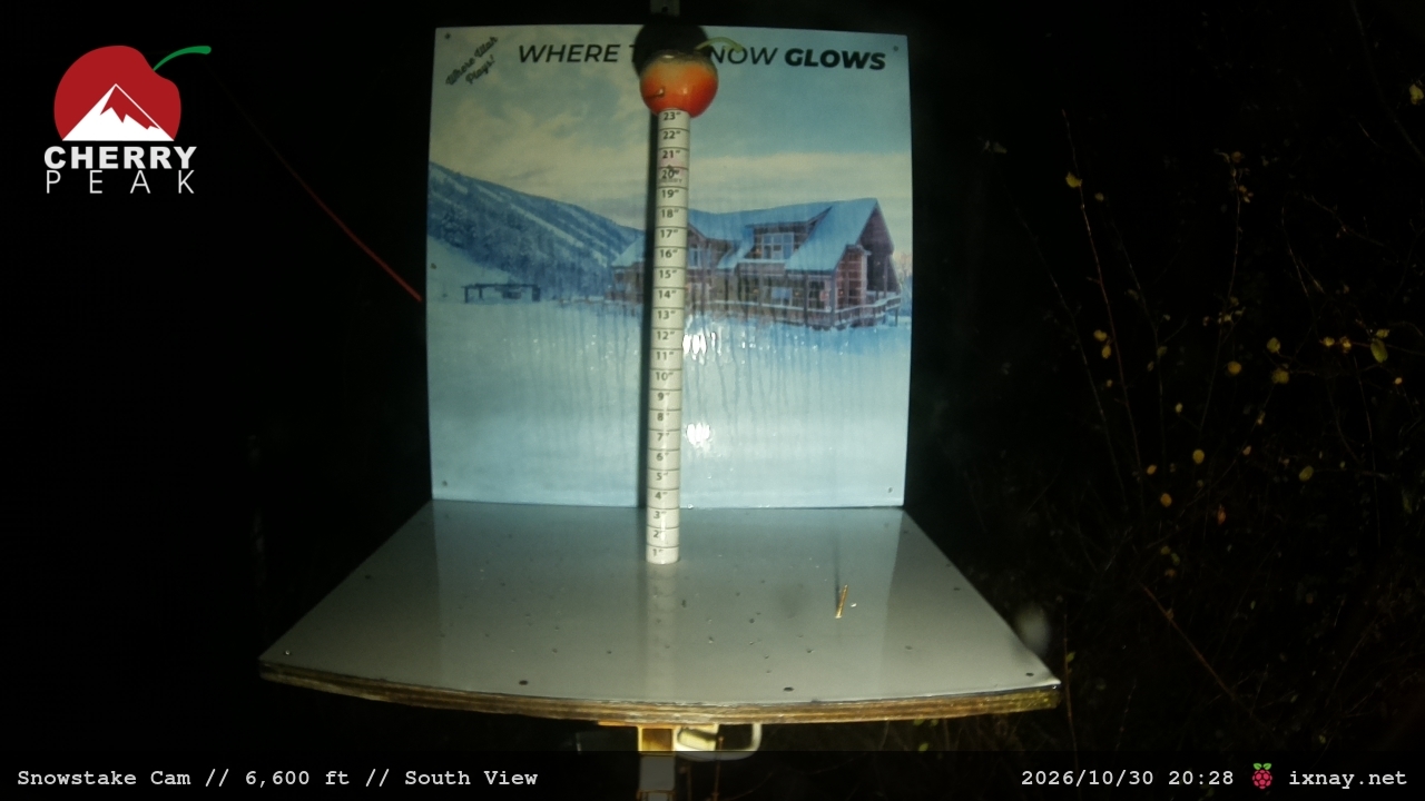 Snowstake Cam